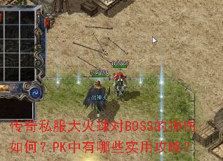 ����˽��������BOSS��������Σ�PK������Щʵ�ù��ԣ�