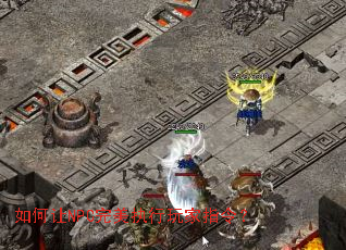 �����NPC����ִ�����ָ�