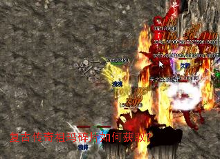 ���Ŵ���������Ƭ��λ�ȡ��