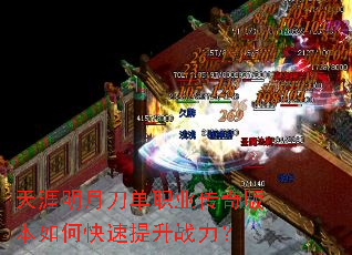 �������µ���ְҵ����汾��ο�������ս����