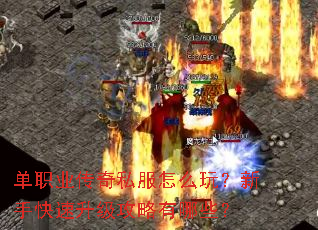 ��ְҵ����˽����ô�棿���ֿ���������������Щ��