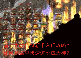 ����֮ս�����������Ź��ԣ���δӲ�����ٽ��׳ɴ���