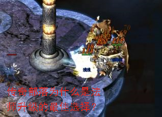 ���沿��Ϊʲô�Ƿ�ʦ���������ѡ��