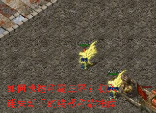 ��ο��ٳư����磿������ʧ���ֵ��ռ��ư�ָ��