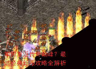 ����ط������۷壿��ȼ�����·�����ȫ����