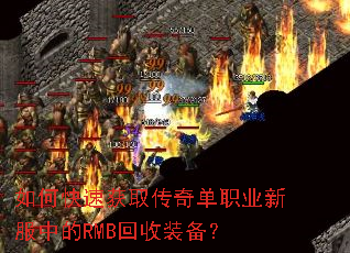 ��ο��ٻ�ȡ���浥ְҵ�·��е�RMB����װ����