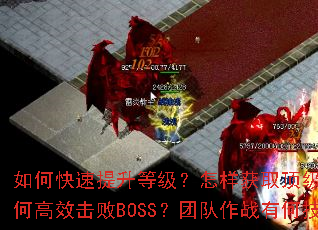 ��ο��������ȼ���������ȡ����װ������θ�Ч����BOSS���Ŷ���ս�кμ��ɣ�