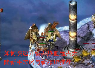 ��ο�����������ѪԶ�Ŵ�½���ֹ������·�IP�Ƽ�