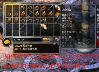 ��ι��˽��������V��������BOSS��5854ս��302300249����ȫ����