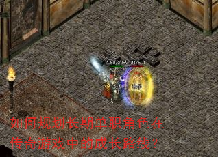 ��ι滮���ڵ�ְ��ɫ�ڴ�����Ϸ�еĳɳ�·�ߣ�