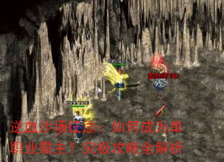 ��Ѫɳ����;����γ�Ϊ��ְҵ��������������ȫ����