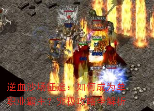 ��Ѫɳ����;����γ�Ϊ��ְҵ��������������ȫ����