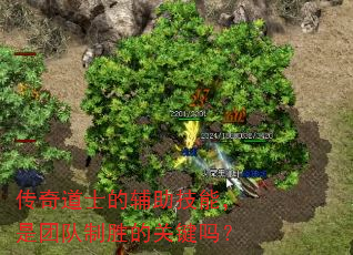 �����ʿ�ĸ������ܣ����Ŷ���ʤ�Ĺؼ���