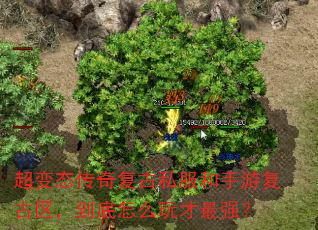 ����̬���渴��˽�������θ�������������ô�����ǿ��
