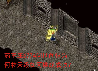 ҩ��ׯ6774��������Ϊ�����켶�����ս�ɹ���
