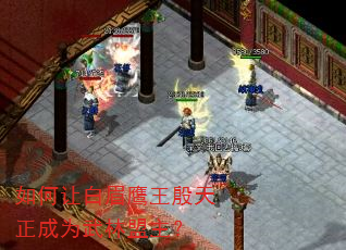 ����ð�üӥ����������Ϊ����������