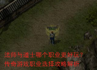 ��ʦ���ʿ�ĸ�ְҵ�����棿������Ϸְҵѡ���Խ���