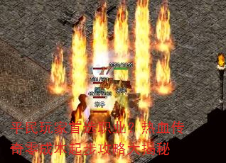 ƽ�������ѡְҵ����Ѫ������ɱ��𲽹��Դ����
