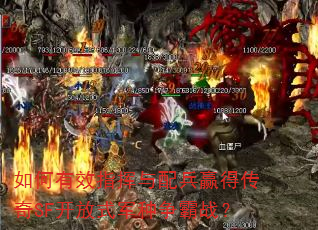 �����Чָ�������Ӯ�ô���SF����ʽ��������ս��