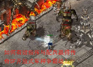 �����Чָ�������Ӯ�ô���SF����ʽ��������ս��