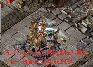��紫��˽����ο���������ɫ�ȼ���װ����ȡ����Щ���ɣ�