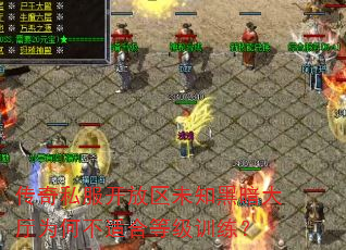 传奇私服开放区未知黑暗大厅为何不适合等级训练? 传奇私服开放区未知黑暗大厅为何不适合等级训练?