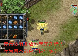 传奇私服开放区未知黑暗大厅为何不适合等级训练? 传奇私服开放区未知黑暗大厅为何不适合等级训练?
