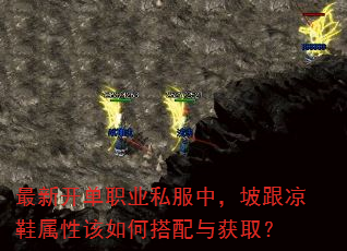 ���¿���ְҵ˽���У��¸���Ь���Ը���δ������ȡ��