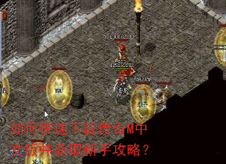 ��ο������ش���M���İ沢��ȡ���ֹ��ԣ�