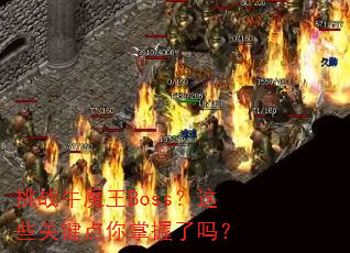��սţħ��Boss����Щ�ؼ�������������