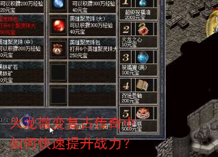 ����΢�临�Ŵ�������ο�������ս����