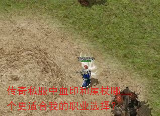 ����˽����Ѫӡ��ħ���ĸ����ʺ��ҵ�ְҵѡ��