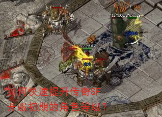 ��ο�����������SF�������ڵĽ�ɫ�ȼ���