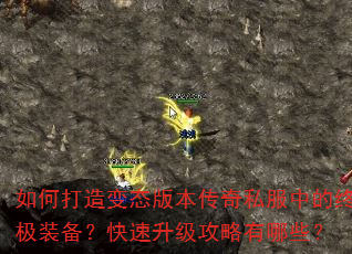 ��δ����̬�汾����˽���е��ռ�װ��������������������Щ��