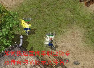 如何快速查询单职业微端版传奇物品显示文件名? 如何快速查询单职业微端版传奇物品显示文件名?