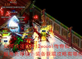 如何快速提升12woool传奇私服角色等级?装备获取攻略有哪些? 如何快速提升12woool传奇私服角色等级?装备获取攻略有哪些?
