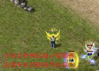 �ֻ��洫��˽��sf����Щ��Ч��������ֵ�÷�����