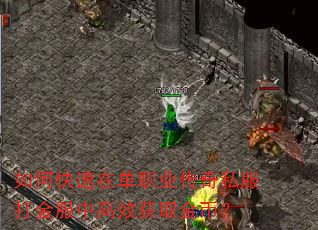 如何快速在单职业传奇私服打金服中高效获取金币? 如何快速在单职业传奇私服打金服中高效获取金币?