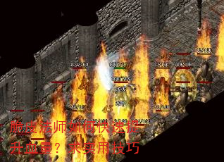 ��Ƥ��ʦ��ο�������Ѫ������ʵ�ü���