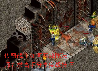����սʿ�����ЧPK��ʦ������ַ���ʵս����