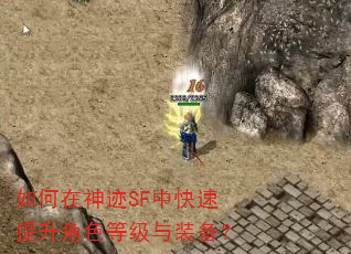 �������SF�п���������ɫ�ȼ���װ����