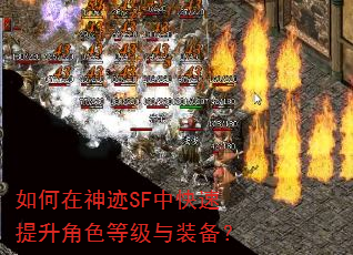 �������SF�п���������ɫ�ȼ���װ����