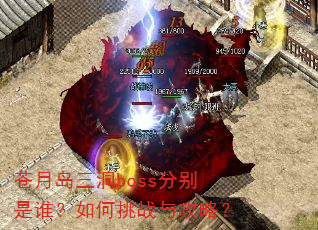���µ�����boss�ֱ���˭�������ս�빥�ԣ�