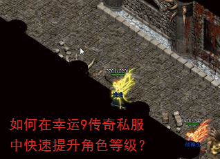 如何在幸运9传奇私服中快速提升角色等级? 如何在幸运9传奇私服中快速提升角色等级?