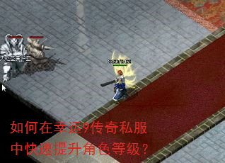 如何在幸运9传奇私服中快速提升角色等级? 如何在幸运9传奇私服中快速提升角色等级?