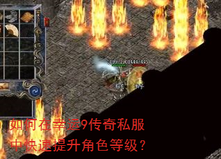 如何在幸运9传奇私服中快速提升角色等级? 如何在幸运9传奇私服中快速提升角色等级?