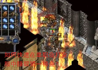 ��ο����ڵ�ְҵ������׬ȡ��һͰ��