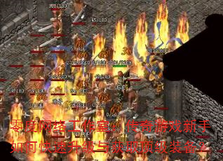 ������繤���ң�������Ϸ������ο����������ȡ����װ����