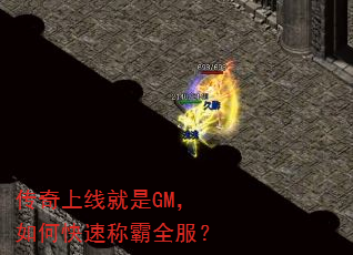 �������߾���GM����ο��ٳư�ȫ����