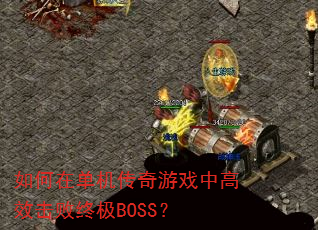 ����ڵ���������Ϸ�и�Ч�����ռ�BOSS��